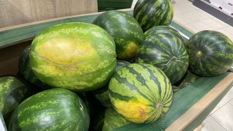 Снимка: архив, БГНЕС