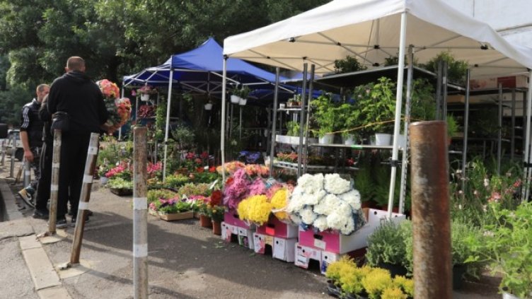 Снимка: архив, БГНЕС