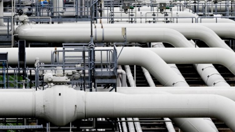 Снимка: архив, БГНЕС