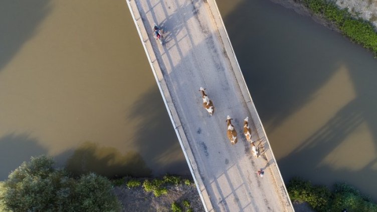 Снимка: БГНЕС