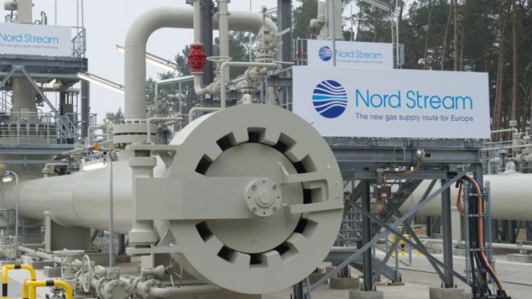 Снимка: архив, БГНЕС