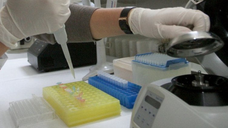 Снимка: архив, БГНЕС