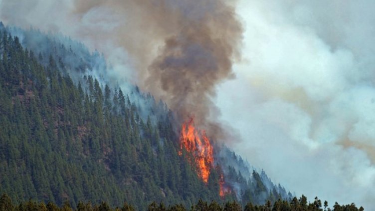 Снимка: БГНЕС/ЕПА