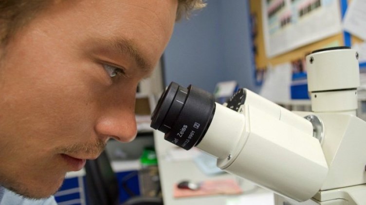 Снимка: Pixabay