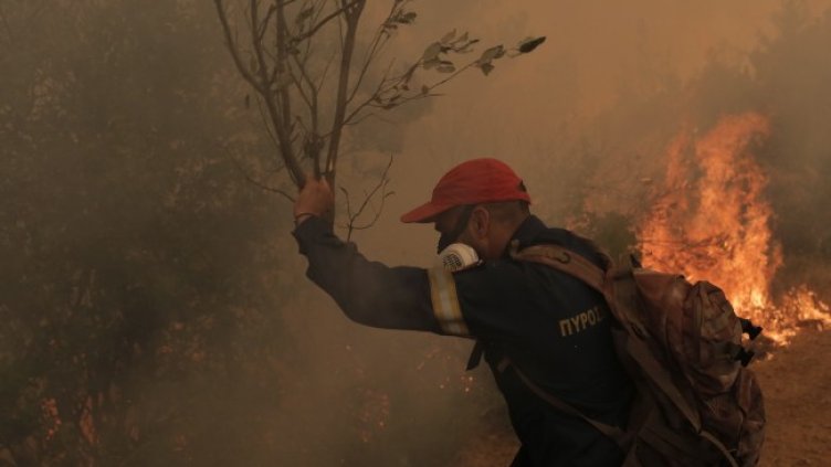 Снимка: архив, БГНЕС