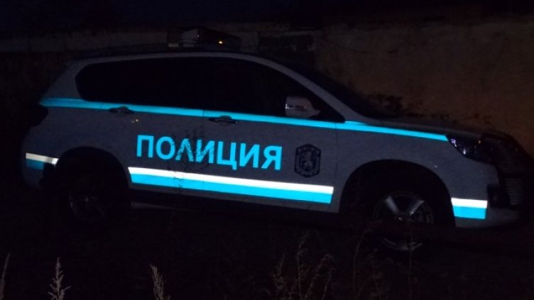 Снимка: архив, БГНЕС