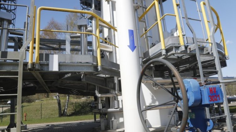 Снимка: БГНЕС