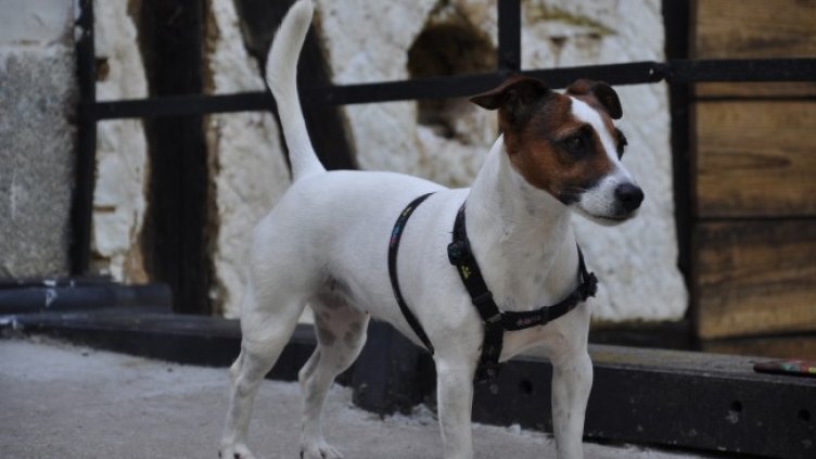 Снимка: Dnes.bg