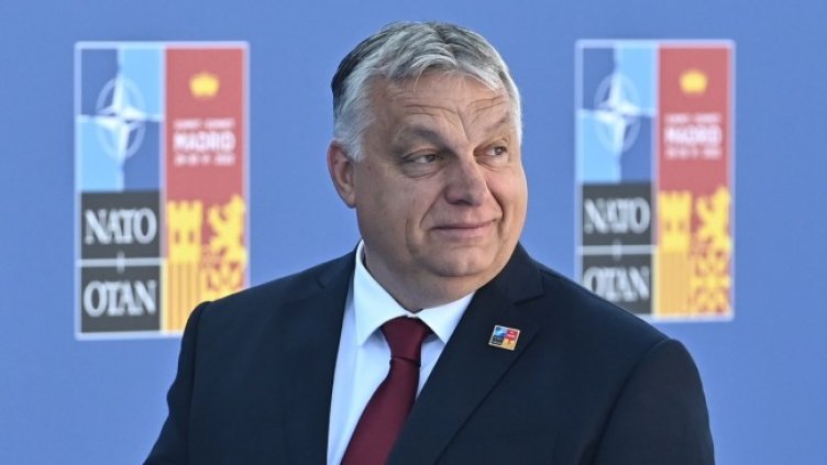 Снимка: архив, БГНЕС