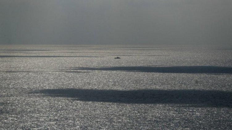 Снимка: архив, БГНЕС