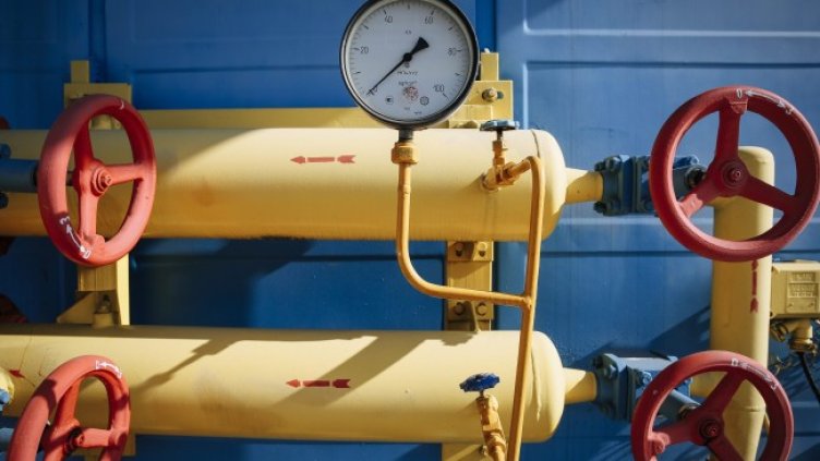 Снимка: архив, БГНЕС