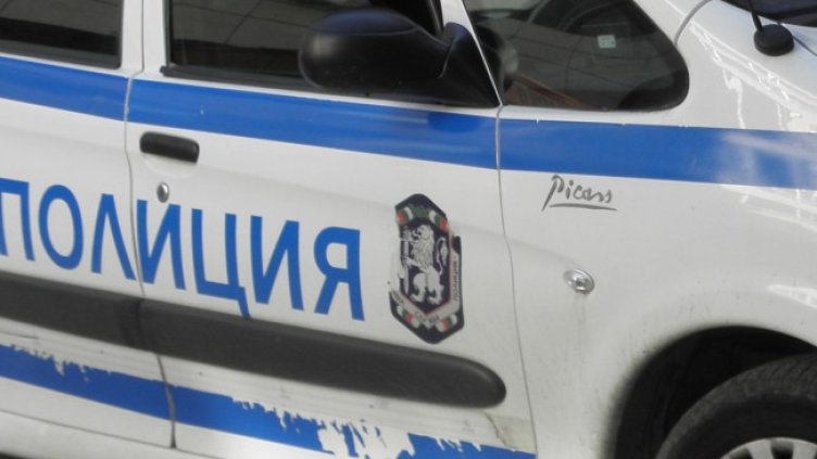 Снимка: архив, БГНЕС