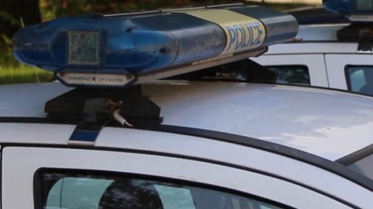 Снимка: архив, БГНЕС