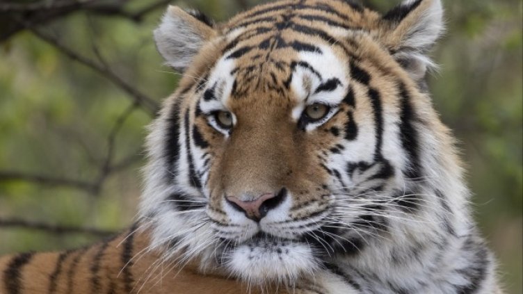 Снимка: архив, БГНЕС