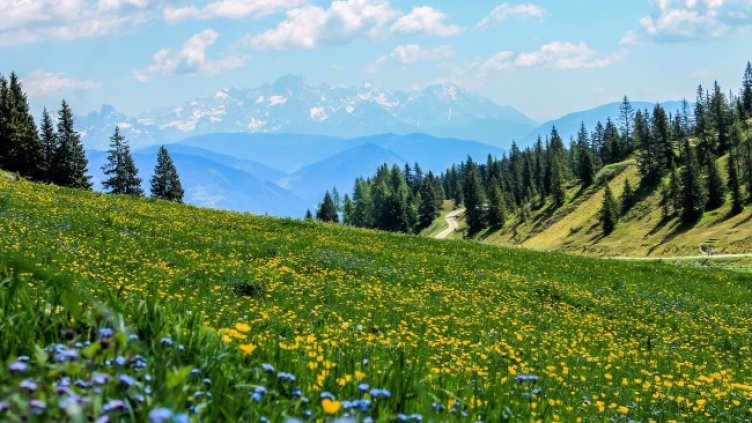 Снимка: Pixabay