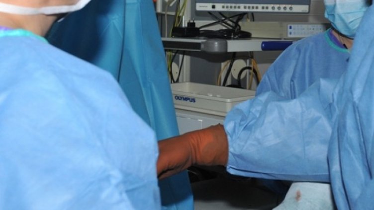 Снимка: архив, БГНЕС