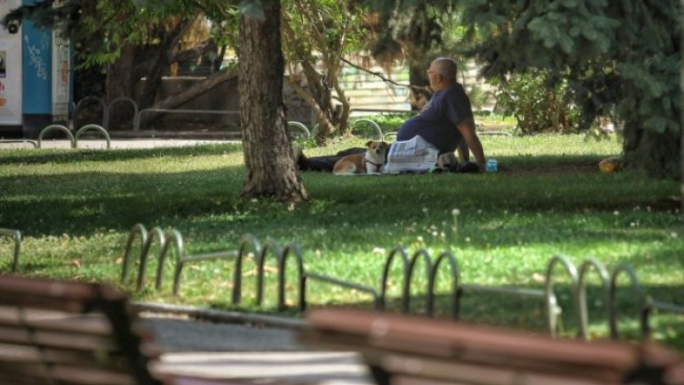 Снимка: Димитър Кьосемарлиев, Dnes.bg