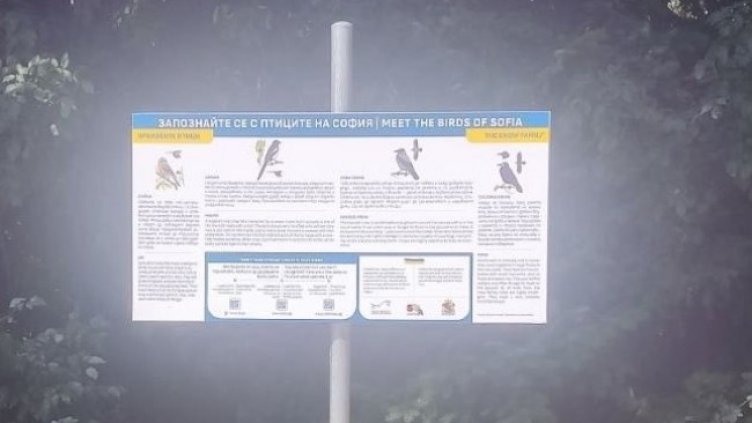 Снимка: Столична община