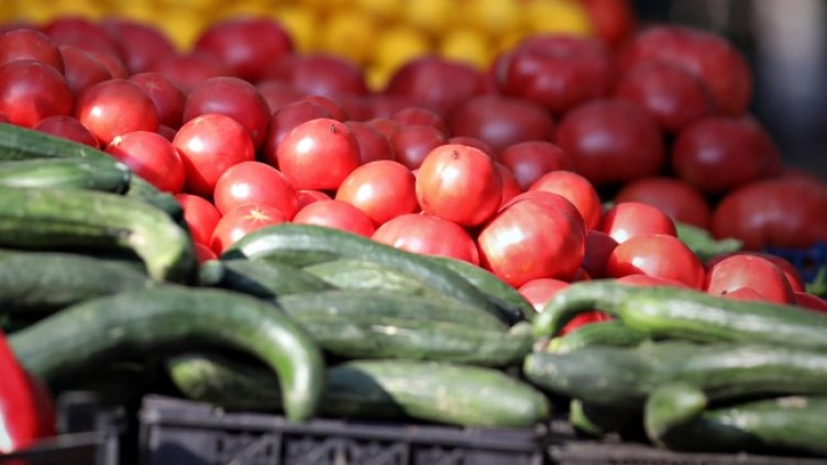 Снимка: архив, БГНЕС