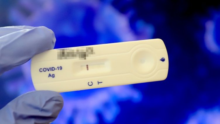 Снимка: архив, БГНЕС