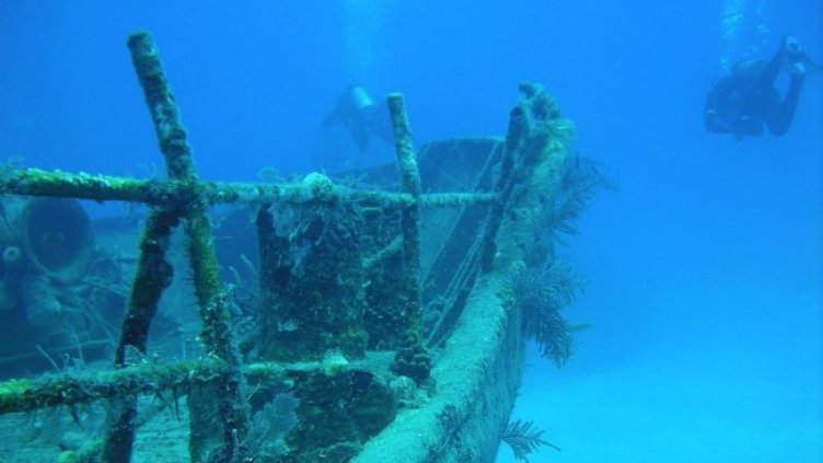 Снимка: Pixabay