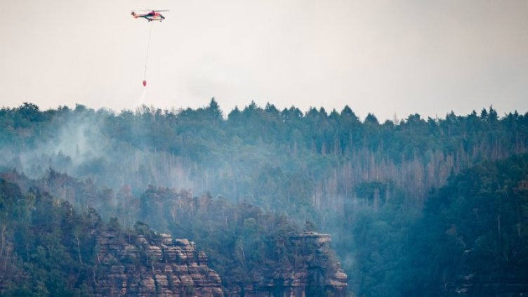Снимка: архив, БГНЕС