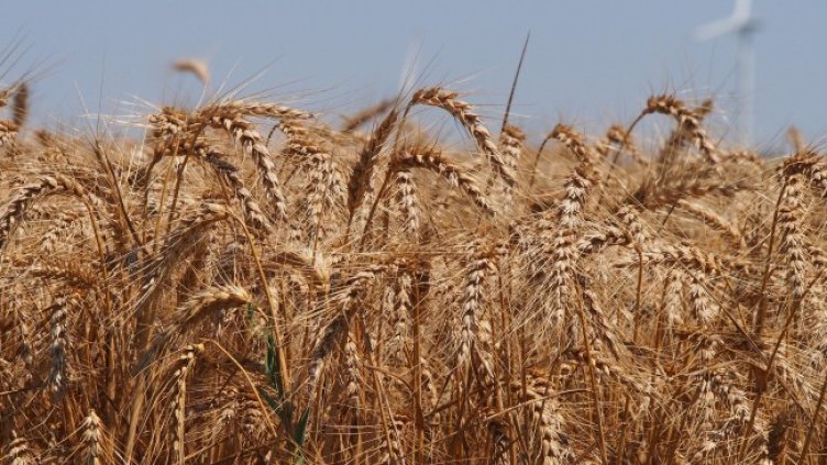 Снимка: Bloomberg