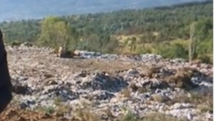 Снимка: Кадър, bTV