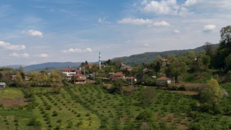 Снимка: архив, БГНЕС