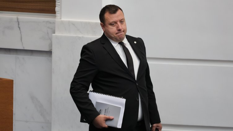 Снимка: БГНЕС