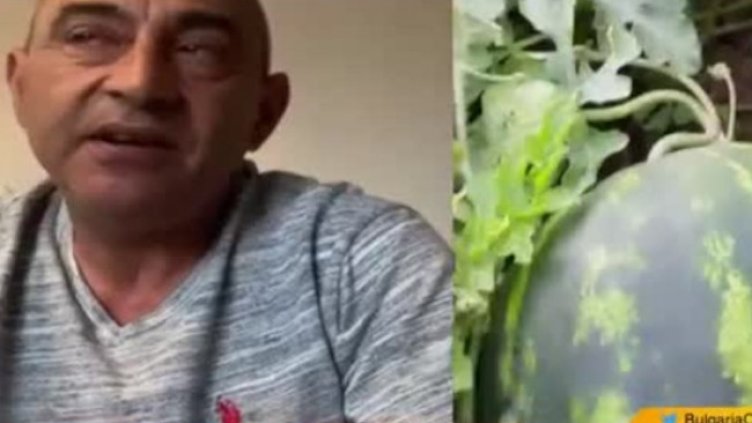 Снимка: Bulgaria ON AIR