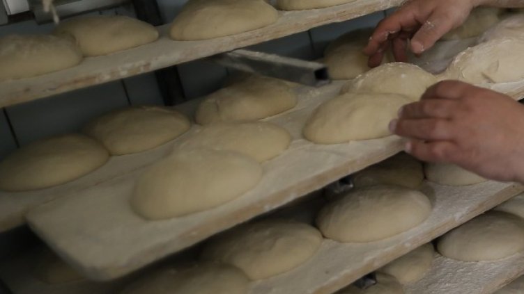 Снимка: архив, БГНЕС