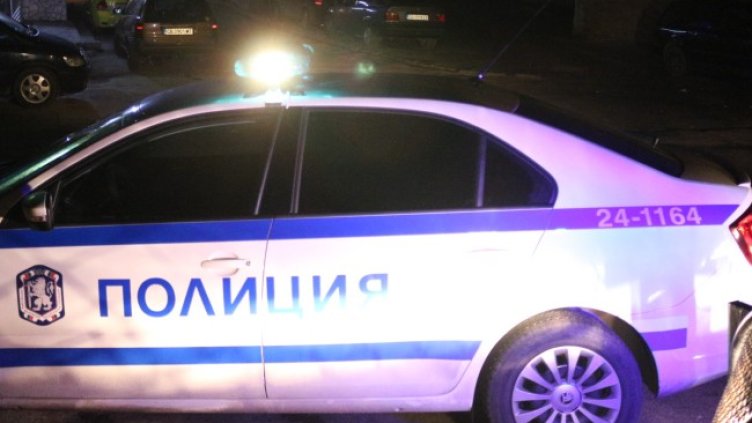 Снимка: БГНЕС, архив