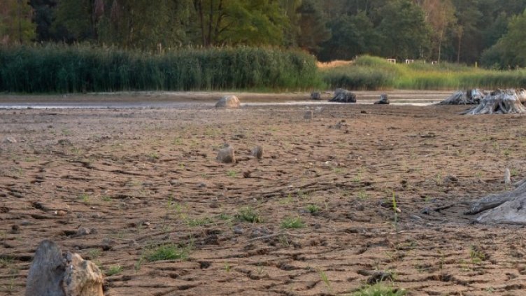 Снимка: Pixabay