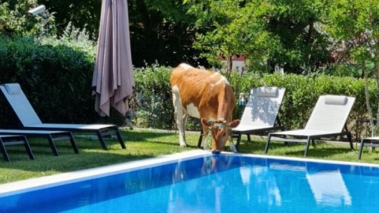 Снимка: TravelNews