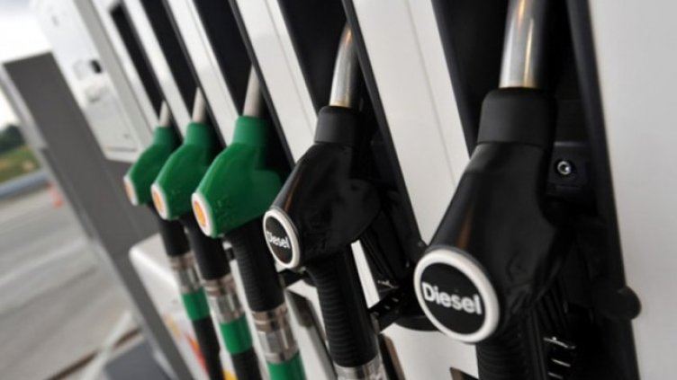 Снимка: архив, БГНЕС