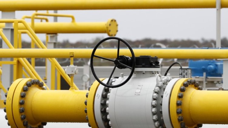 Снимка: архив, БГНЕС