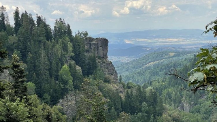 Снимка: БГНЕС