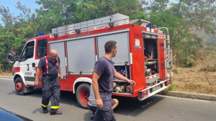 Снимка: БГНЕС