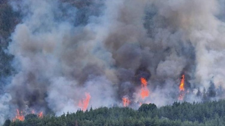 Снимка: архив, БГНЕС