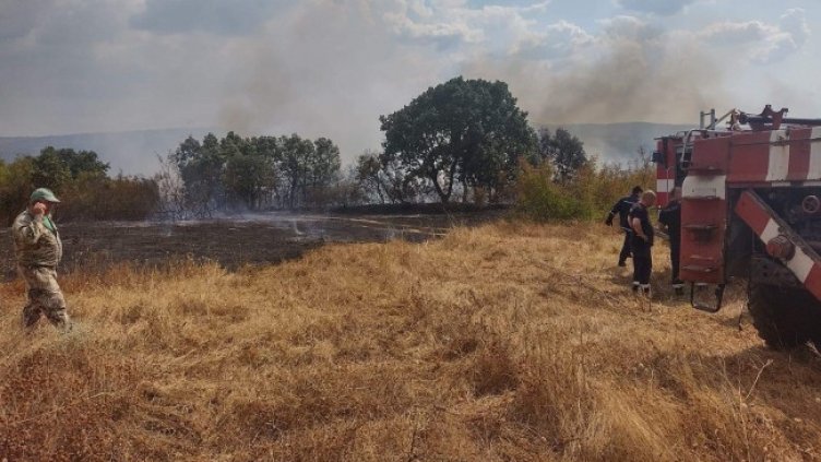 Снимка: БГНЕС