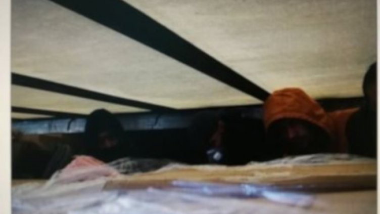 Снимка: БГНЕС, архив