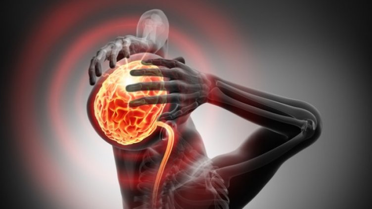 Снимка: Istock