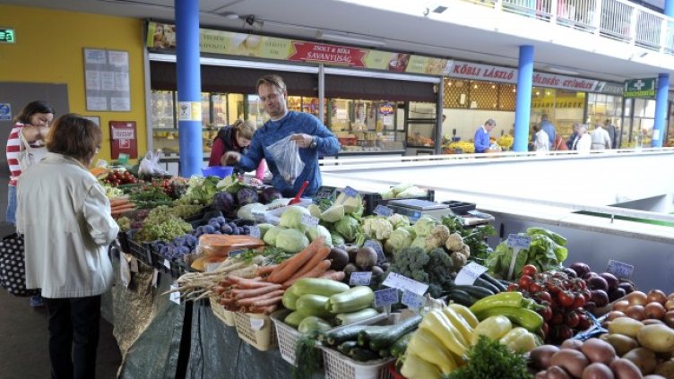 Снимка: архив, БГНЕС