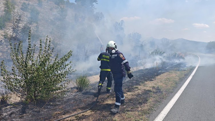 Снимка: БГНЕС