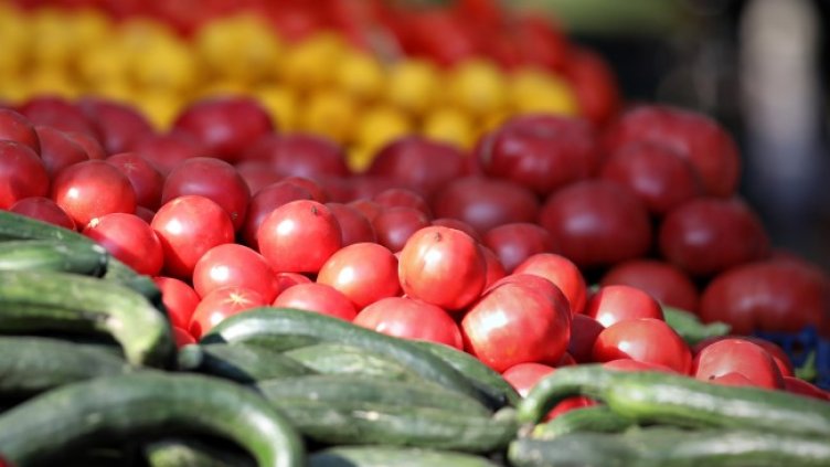 Снимка: архив, БГНЕС