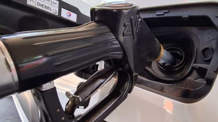 Снимка: архив, БГНЕС