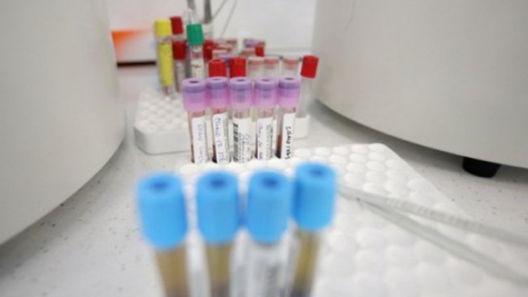 Снимка: Димитър Кьосемарлиев