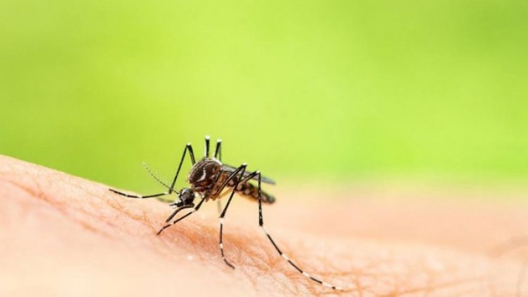 Снимка: Getty Images