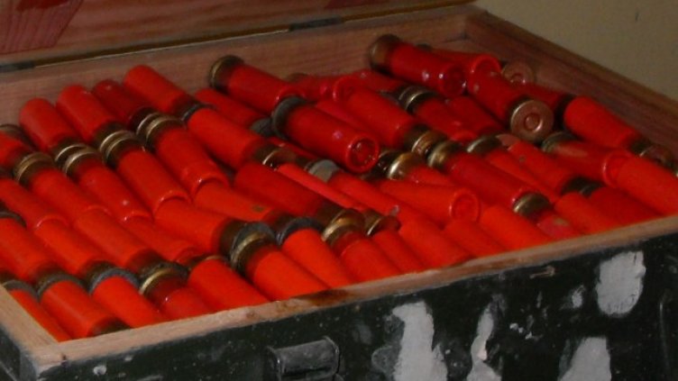 Снимка: архив, БГНЕС